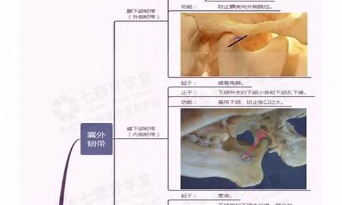 口腔健康是每个人都应该关注的重要问题。以下是一些关于口腔知识的常见问题和答案，希望对您有所帮助。